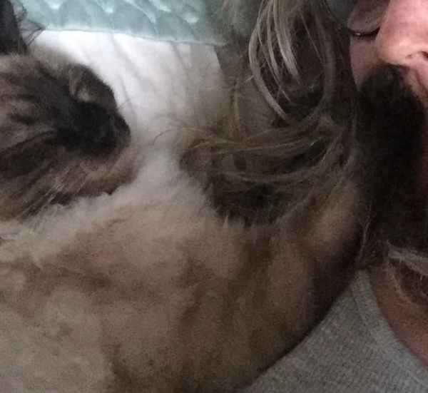 Where does your kitten sleep at night?
