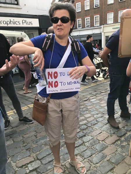 Protests against Brexit.*title edited by MNHQ at OP's request*