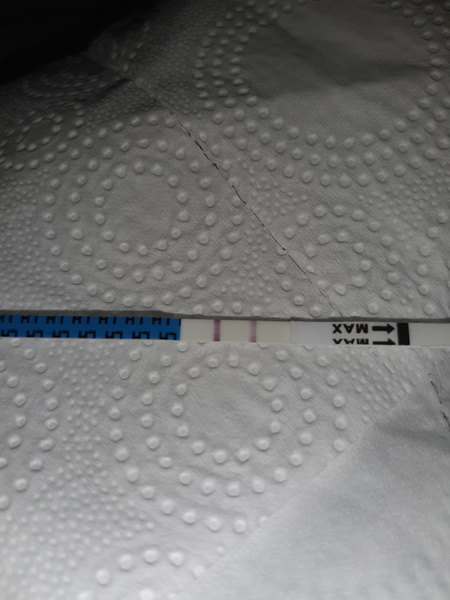 Is this postive ovulation test