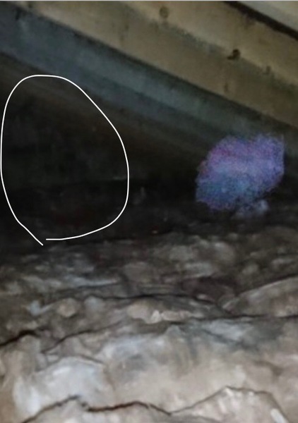 Please tell me this is not a ghost, even though it obviously is and I have to move