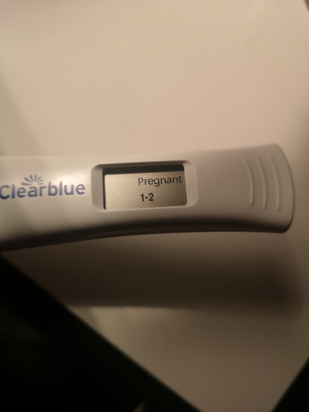 14dpo!