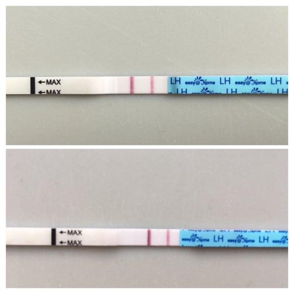 OPK - when will I ovulate