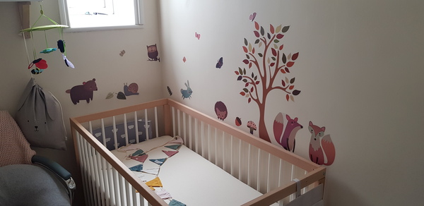 Box room nursery pics