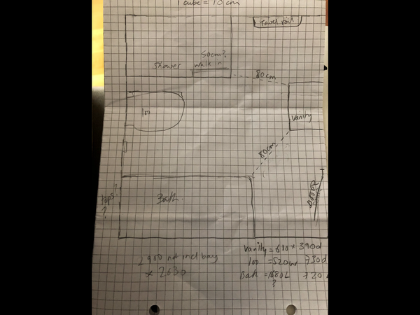 Please can someone critique my bathroom plan?