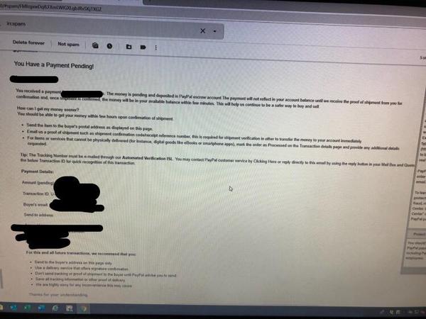 PayPal and Selling Stuff