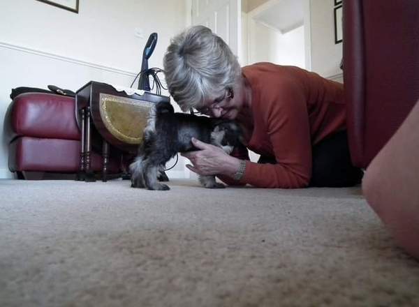 Mumsnet users share how their dog helped them and their family