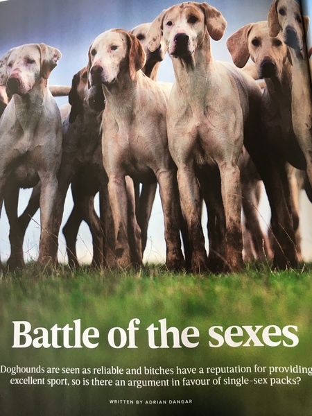 Is there an argument for single sex packs?