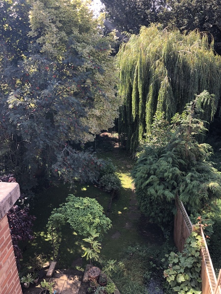 What would you do with this bit of garden?