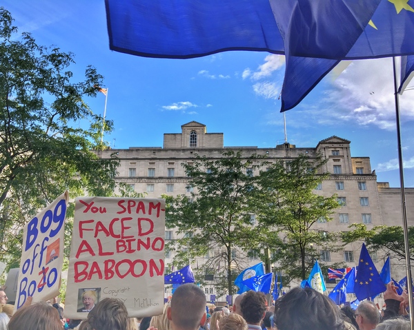 Protests against Brexit.*title edited by MNHQ at OP's request*