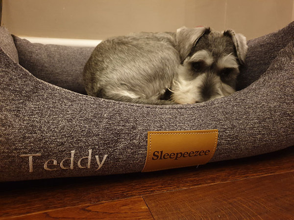 Find out what Mumsnet testers thought of Sleepeezee personalised dog beds