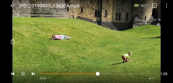 To clap my hands and skip about in a elephantine manner?