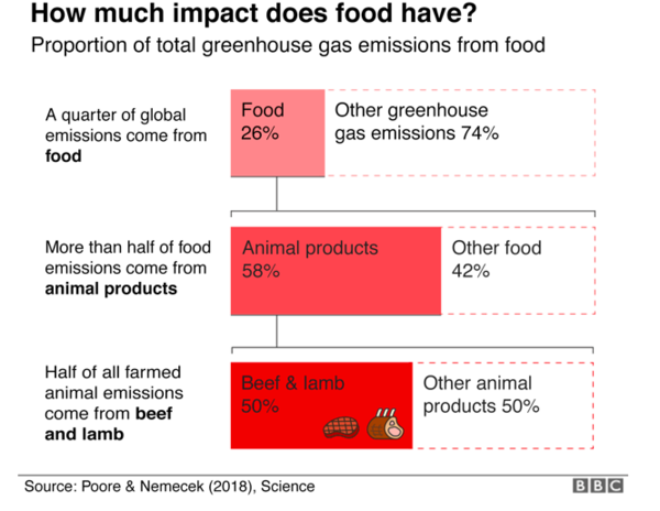 To think we should all eat less meat & dairy