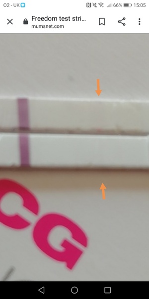 Freedom test strips- confusing lines