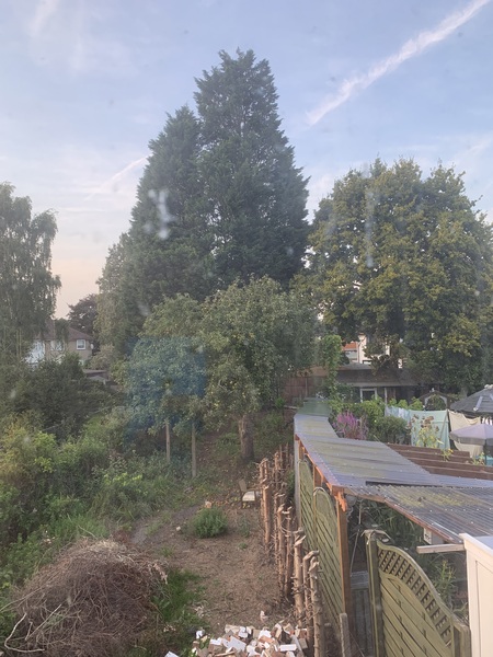 Neighbours and noise during building work