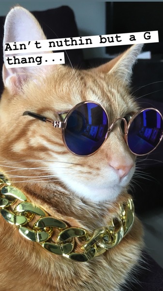 Name my cat !!!