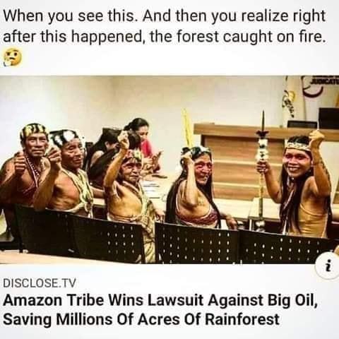 Westminstenders: 30 days to save us all!