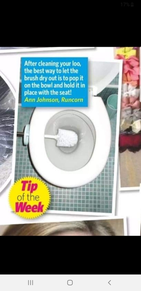 Toilet brush