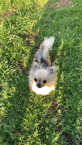 Theodore/ Teddy ???