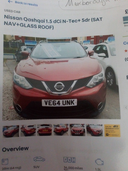 TTC after pregnancy loss thread 31 - baby penguins are coming!