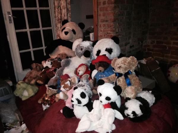 Do your dc bedrooms have a theme ? If so what ?