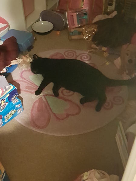 My boy is missing