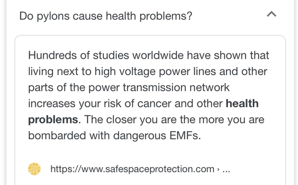 Would you buy a house that's close to a main line electric pylon?