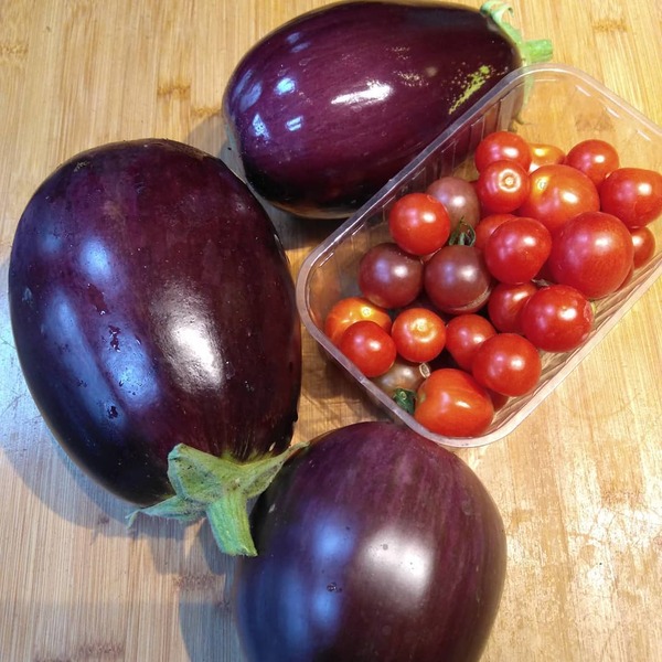 Westminstenders: 30 days to save us all!