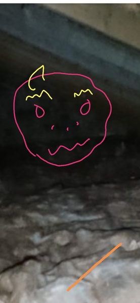 Please tell me this is not a ghost, even though it obviously is and I have to move