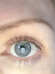 🐌 Fantastic Skincare: Shitting About All Day Discussing Co Dictionary