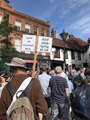 Protests against Brexit.*title edited by MNHQ at OP's request*