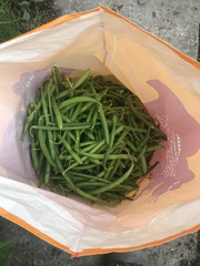 To be terrified of no deal Brexit