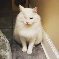 Adopting a boy! Update with pics