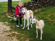 Mumsnet users share how their dog helped them and their family