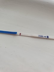 Line eyes please