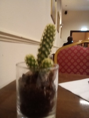 Shocking table decoration