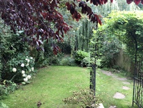 What would you do with this bit of garden?