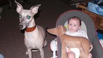 Mumsnet users share how their dog helped them and their family