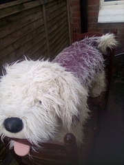Old English sheep dog food stool