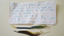 to ask for help with this cryptic/mysterious letter received today