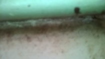 Mould! Any tips?? (Removal of, not acquiring)
