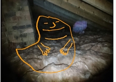 Please tell me this is not a ghost, even though it obviously is and I have to move