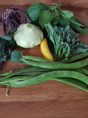 Allotment/Veg Patch Thread 14 ! growing into summer
