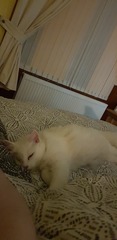 Adopting a boy! Update with pics