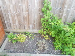 Shady spot a year on