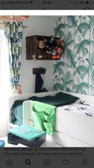 Do your dc bedrooms have a theme ? If so what ?