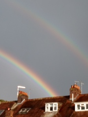 TTC after pregnancy loss thread 31 - baby penguins are coming!