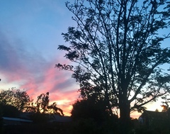 Any Witches Here? Part 9.