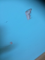 Tenant and carpet issue. Advice welcome