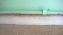 Mould! Any tips?? (Removal of, not acquiring)