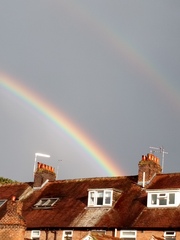 TTC after pregnancy loss thread 31 - baby penguins are coming!